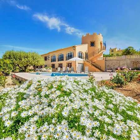 Puchero - Plusholidays Calp