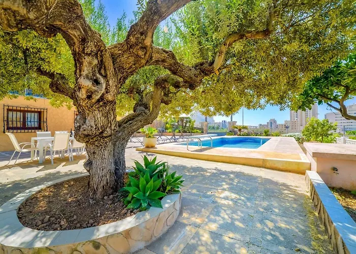 Puchero - Plusholidays